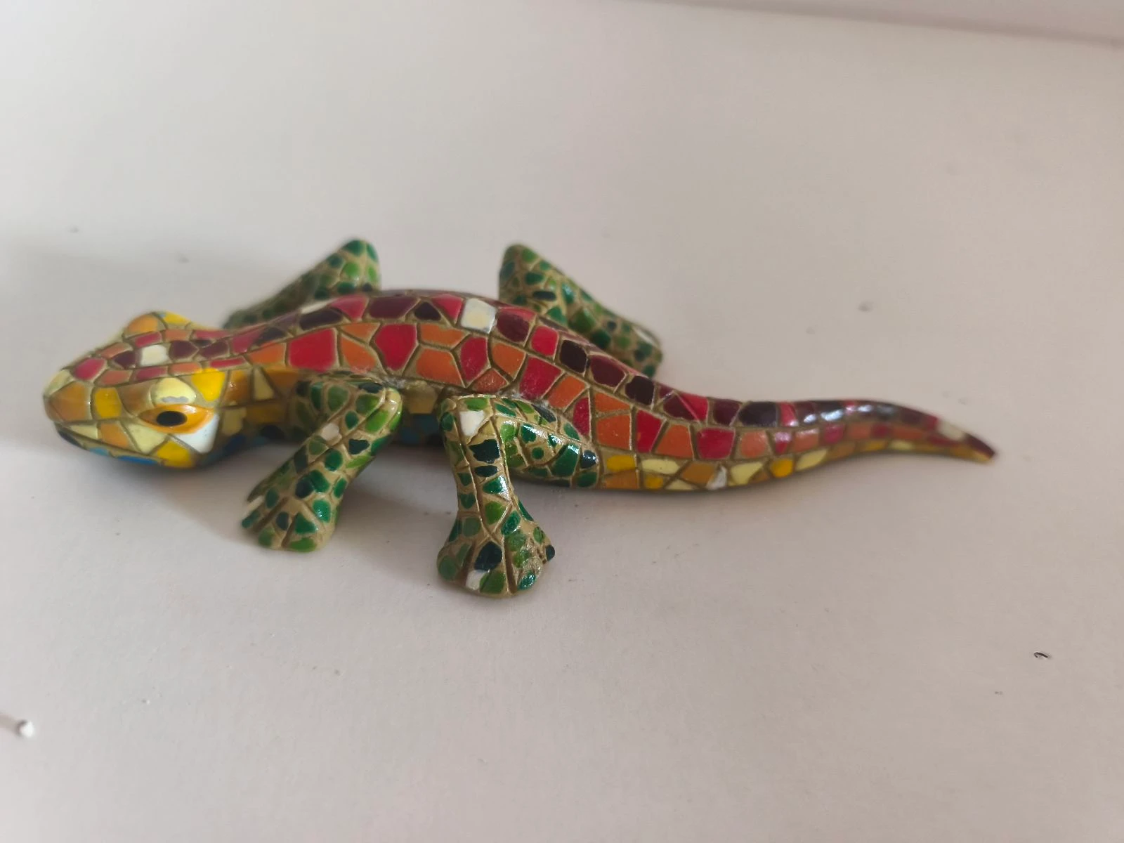 Salamandra em mosaico – photo 3